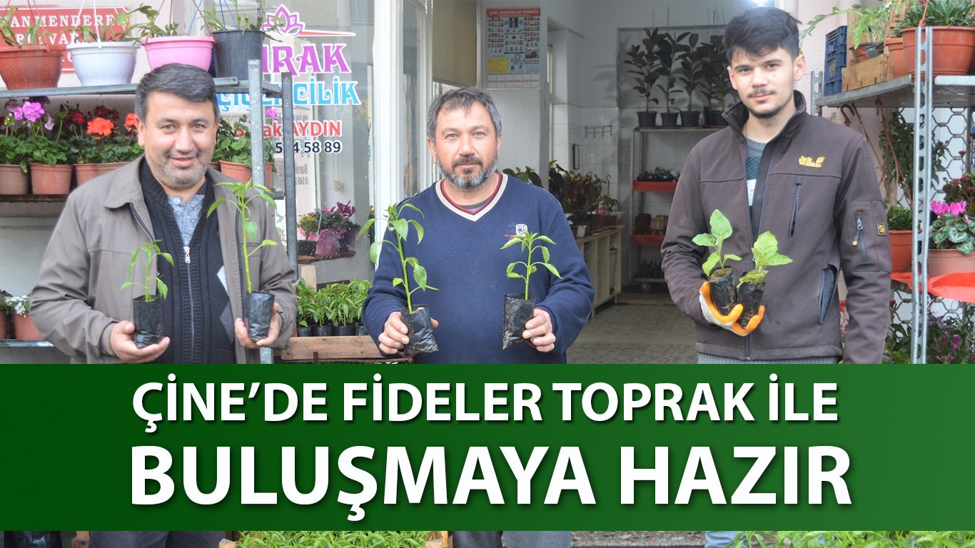 ÇİNE’DE FİDELER TOPRAK İLE BULUŞMAYA HAZIR